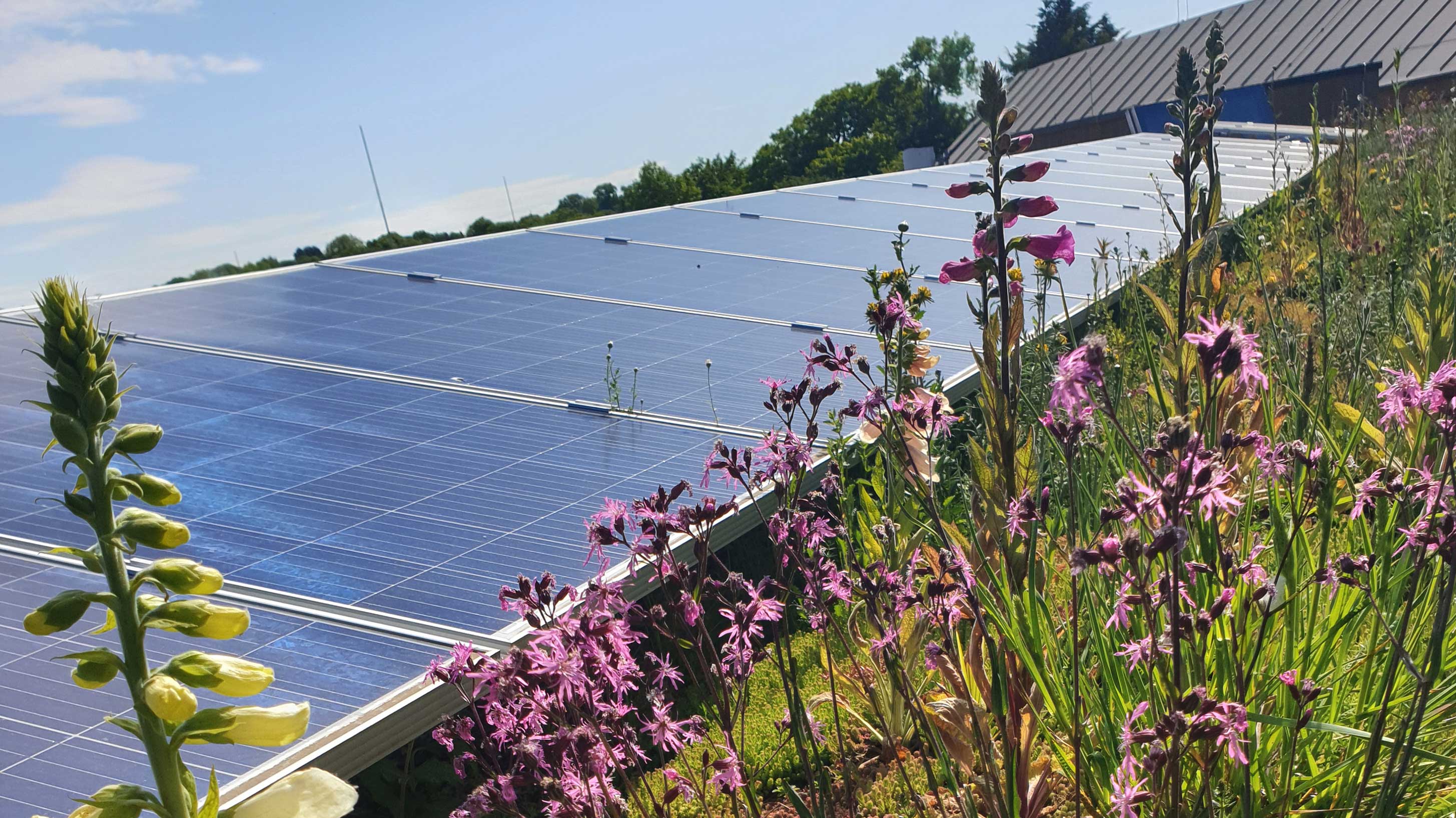 BauderSOLAR installations on timber and metal decks